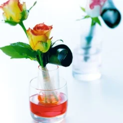 Shooter verre cristallin 6 cl Vigne - CHEF & SOMMELIER