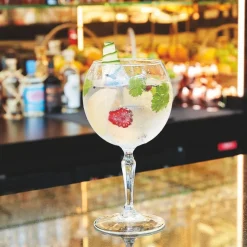 ARCOROC Verre à cocktail gin verre 58 cl Monti Online