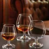 ARCOROC Verre à cognac verre 15 cl Degustation Outlet