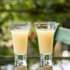 Verre à pastis verre pressé 22 cl Calanques - LA ROCHERE Outlet