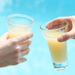 Verre à pastis verre pressé 22 cl Calanques - LA ROCHERE Outlet