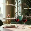 CHEF & SOMMELIER Verre à pied extra fin verre cristallin 55 cl Mylla Discount