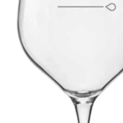 BORMIOLI ROCCO Verre à pied jaugé verre cristallin 43,5 cl Tre Sensi Hot