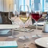 CHEF & SOMMELIER Verre à pied rond verre cristallin 35 cl Sublym