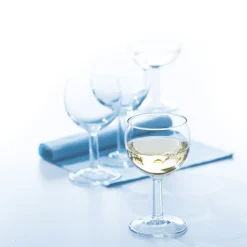 Verre à pied verre 25 cl Ballon - ARCOROC New