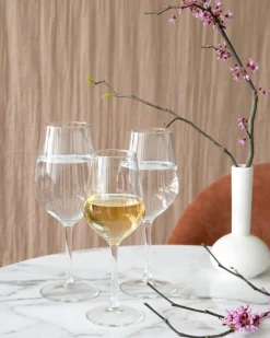 Verre à pied verre 45 cl Vasco - PRO.MUNDI