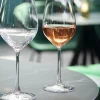 Verre à pied verre cristallin 44 cl Sequence - CHEF & SOMMELIER Best