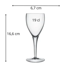 Verre à pied verre cristallin 19 cl Michelangelo - LUIGI BORMIOLI Sale