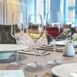 SCHOTT ZWIESEL Verre à pied verre cristallin 49,7 cl Taste