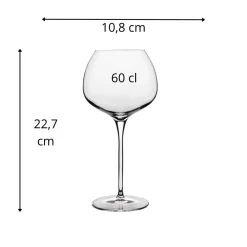 Verre à pied verre cristallin 60 cl Super - LUIGI BORMIOLI New
