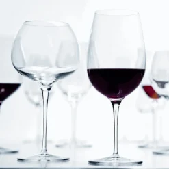 ZWIESEL GLAS Verre à pied verre cristallin 46 cl Belfesta Online