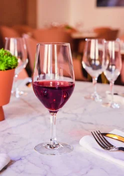 CHEF & SOMMELIER Verre à pied verre cristallin 27 cl Evidence New