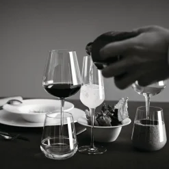 Verre à pied verre cristallin 56 cl Uno - BORMIOLI ROCCO Discount