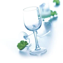 Verre à pied verre trempé 23 cl Elisa - ARCOROC Clearance